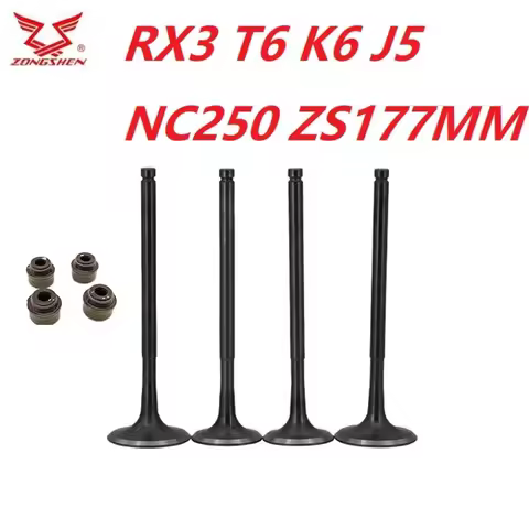 Exhaust Inlet outlet Valve oil seal For ZS177MM ZONGSHEN Engine NC250 KAYO T6 BSE J5 RX3 ZS250GY-3 4