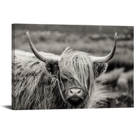 iKNOW FOTO Black and White Canvas Wall Art Highland Cow Cattle Picture Prints Texas Longhorn Paintin