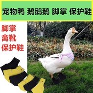 Pet Supplies Duck Goose Shoes Pet Duck Cole Duck Palm Boots Protective Shoes ll2.2