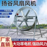 Factory Direct Sales Yanggu Fan High Wind Position High Power Fan Breeding Cooling Ventilation Agric