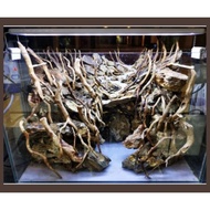 azalea root, aquascape wood, bonsai root