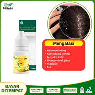 Obat Ketombe Menahun Ketombe Parah Ketombe Berkerak Yang Terlaris Propolis SM