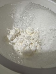Fresh Milk Kefir Grains 奶克菲爾 雪蓮箘