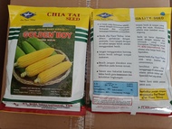 BIBIT JAGUNG MANIS GOLDEN BOY 250 GRAM BENIH JAGUNG HIBRIDA F 1