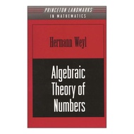 Paper Books Algebraic Theory of Numbers (Princeton Landmarks in Mathematics and Physics Book 1)