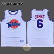 space jam 2 tune squad Lebron James goon squad air cool basketball jersey