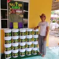 BAJA NUTRIGRO 12 9 27 BORONG BANYAK MAKIN MURAH FREE SHIPPING 3 SUDU/POKOK (SARAWAK)