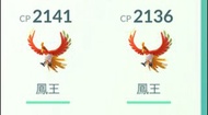 Pokémon go 寶可夢 鳳王