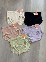 全新Wacoal Underwear wacoal 內褲 Wacoal 女裝內褲