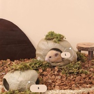 Tafit Ceramic Stone Hideout Syrian Hamster Hide Out