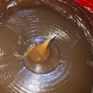 1 kg hoặc 2kg mỡ chịu nhiệt chạy cho bi đạn bạc hoặc bơm ( mỡ ôt mỡ bơm)