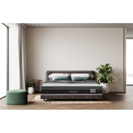 KING KOIL i-Comfort Kutani 11.5" (M/Firm) Cooling Latex Pillow Top, Pocketed Spring Non-Flip Mattress