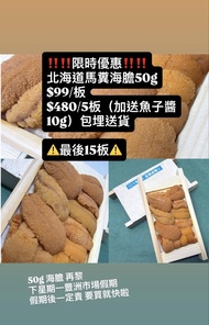 北海道 A Grade馬糞海膽 50g