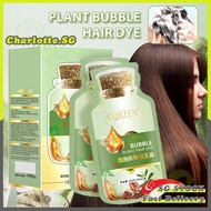 🌴SG STOCK🌴 Natural plant bubble hair dye shampoo for grey hair coverage, Hair colour shampoo, Black 