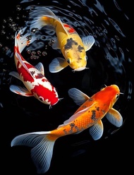 Lukisan Cetak Ikan Koi Fengsui 3 Plus Bingkai Ukuran 65×45