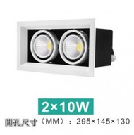 DDS - LED天花筒燈【2*10W】【白光】 #N161_012_045