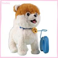 Singing Dog Plushie Moving Puppy Toy Interactive Electric Plush Puppy Toy with Leash – Lifelike Walk