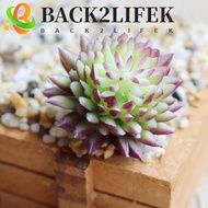 BACK2LIFEK 2pcs Artificial Succulent Plants, DIY Mini Fake Succulent Flocking Plants, Fake Succulent