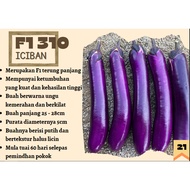 BIJI BENIH 10GRAM LECKAT F1 HYBRID TERUNG PANJANG EGGPLANT GIANT NAGA 332 SEED BENIH