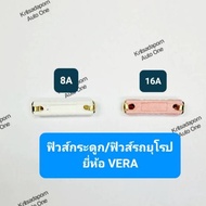 Bone Fuse/Benz Car Fuse/European Fuse Vera Brand Size 8A And 16A New Product