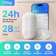 ottai 2 CGM System Glucose Linx Sensor 24h Real Time Monitoring Tester Diabetes Suger Sensor Continu