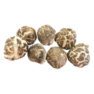 TM MUSHROOM DRIED CHA HUA (TA2) 茶花菇 (2.6CM-3.2CM)