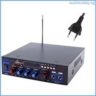 WU Hifi Stereo Digital Power Amplifier 2CH  USB TF Music Home Power Amplifier