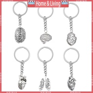 ci Human Brain Keychain 3D Organs Body Parts Keychain Psychology Brain for Key Holder Science Happy 