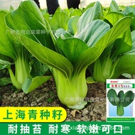 Chunliang No. 4 Green Stem Vegetable Seeds Cold-Resistant Moss-Resistant Shanghai Green Seeds No. 4 