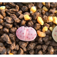 Divine Flute Jade Living Stone Flower Three Years One Item One Shot