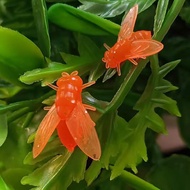 UKB Fly Fishing Bait, Fly Soft Bait, Biomimetic Soft Plastic Bait VN