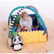 Baby Einstein 5-in-1 Journey of Discovery Activity Gym and Play Mat