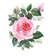 The Soap Cellar - Fragrance Oil - Tube Rosehe Soap Cellar - Fragrance Oil - Tube Rose