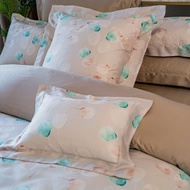 頂極天絲兩用被組 自由 100%天絲萊賽爾60支 單人/雙人/加大/特大