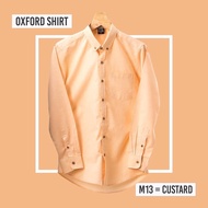 Oxford Shirt (Oxford) Model 02