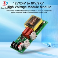 12V/24V to 1KV/2KV High Frequency AC Output Booster Electronic Inverter High Voltage Module Multipli