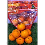 新年 CNY 2022 [800G 沃柑](2／5PKTS)又甜😋又多汁🍊 #柑 #芦柑 #砂糖桔 #沃柑 #椪柑 #潮州柑 #LIMAU #MANDARIN # ORANGE #OREN #水果 #