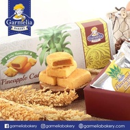 Pineapple Cake Oleh-oleh isi 10