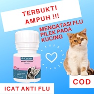 ICat Anti Flu Formula Flu and Cold Medicine for Cats Treats CRD Complex and Sinusitis Infections