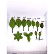 Fake Leaves Decorative Three-Pointed And Six-Pointed Artificial Rose Size 1-9 100 Per Pack