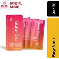REG-NMN 2G 3S