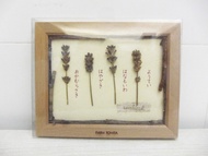 🇯🇵日本富良野町富田農場薰衣草乾燥花紀念品 Hokkaido Furano FARM TOMITA Lavenda Souvenir