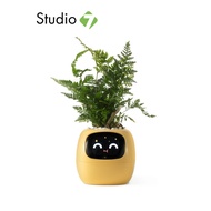กระถางต้นไม้ PlantsIO Ivy Gen 2 Smart Planter by Studio7