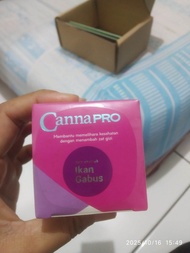 canna pro ikan gabus / untuk proses penyembuhan habis operasi