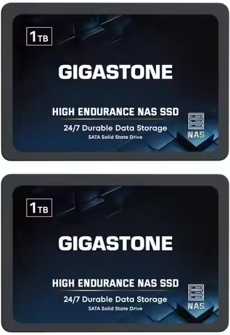 Gigastone 【NAS Certified】 1TB High Endurance SSD (2-Pack) Up To 550MB/s TLC Flash with SLC Caching 2