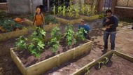 水水xbox one xboxonesx遊戲 腐爛國度2 state of decay 2中文光盤    最