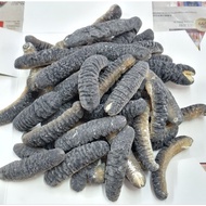 Meimei 正 Bald Ginseng * size: 50~60 * Hair 5 Times~10 Times