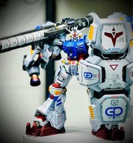 所羅門酸漿果GP02全上色代工