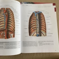 SOBOTTA EDISI 23 JILID 1 JILID 2 ATLAS BUKU SOBOTTA ANATOMI