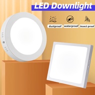 LED Ceiling Pin Light 6W/12W/18W/24W White light downlight surface-mounted Ceiling light LED lamp